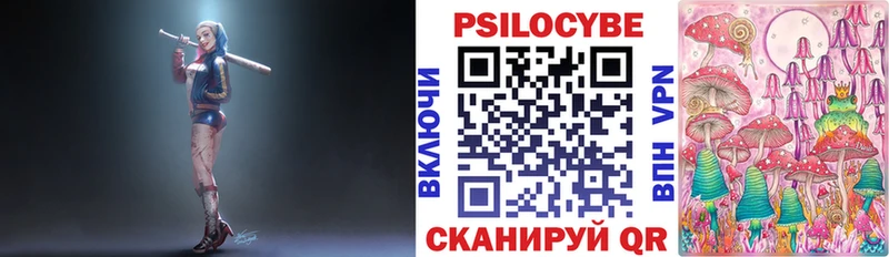 купить   Всеволожск  Галлюциногенные грибы Cubensis 